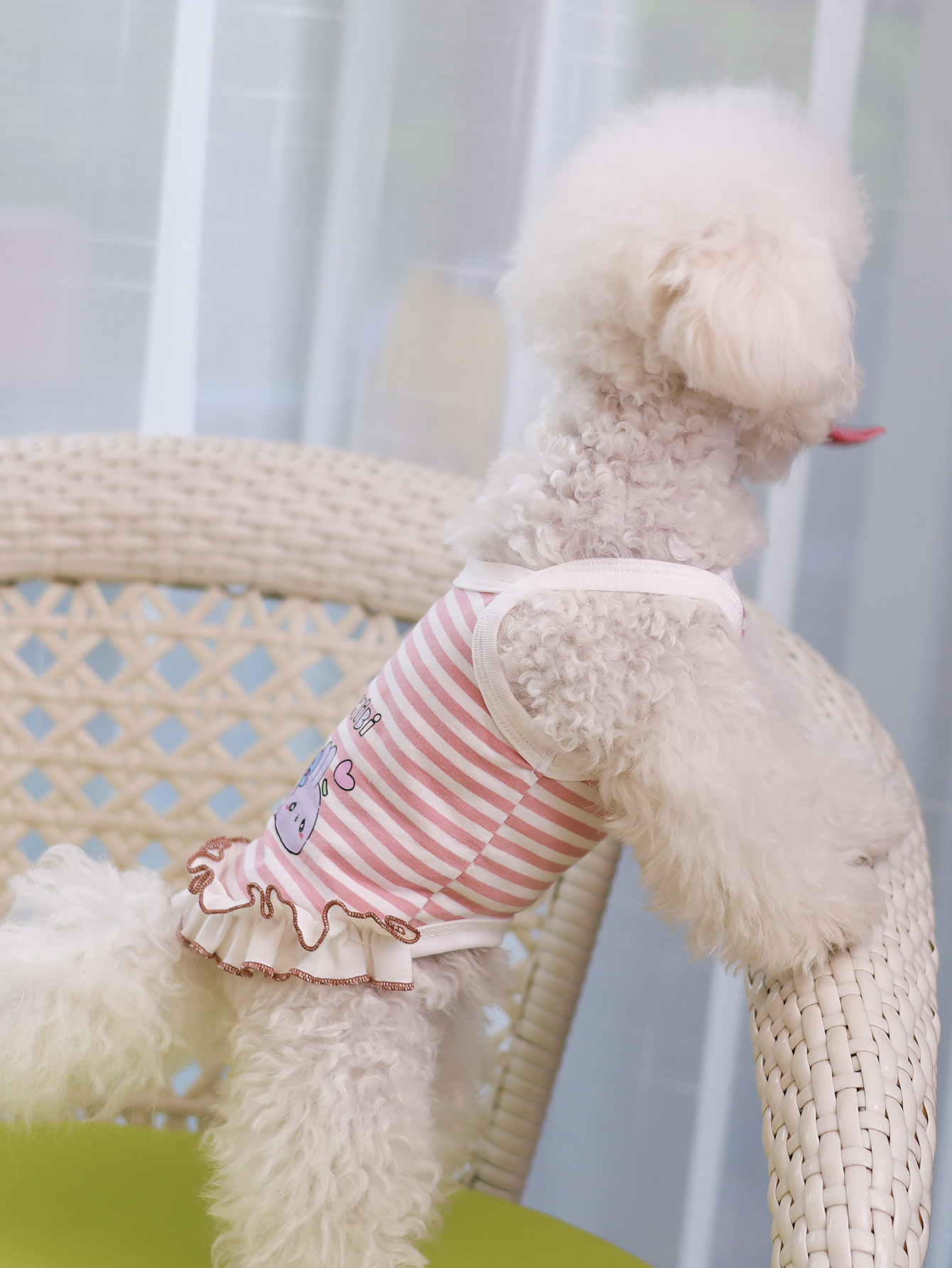 Köpek yeleği, yazlık nefes ala - Summer Clothing Material incelemesi ve fiyatı