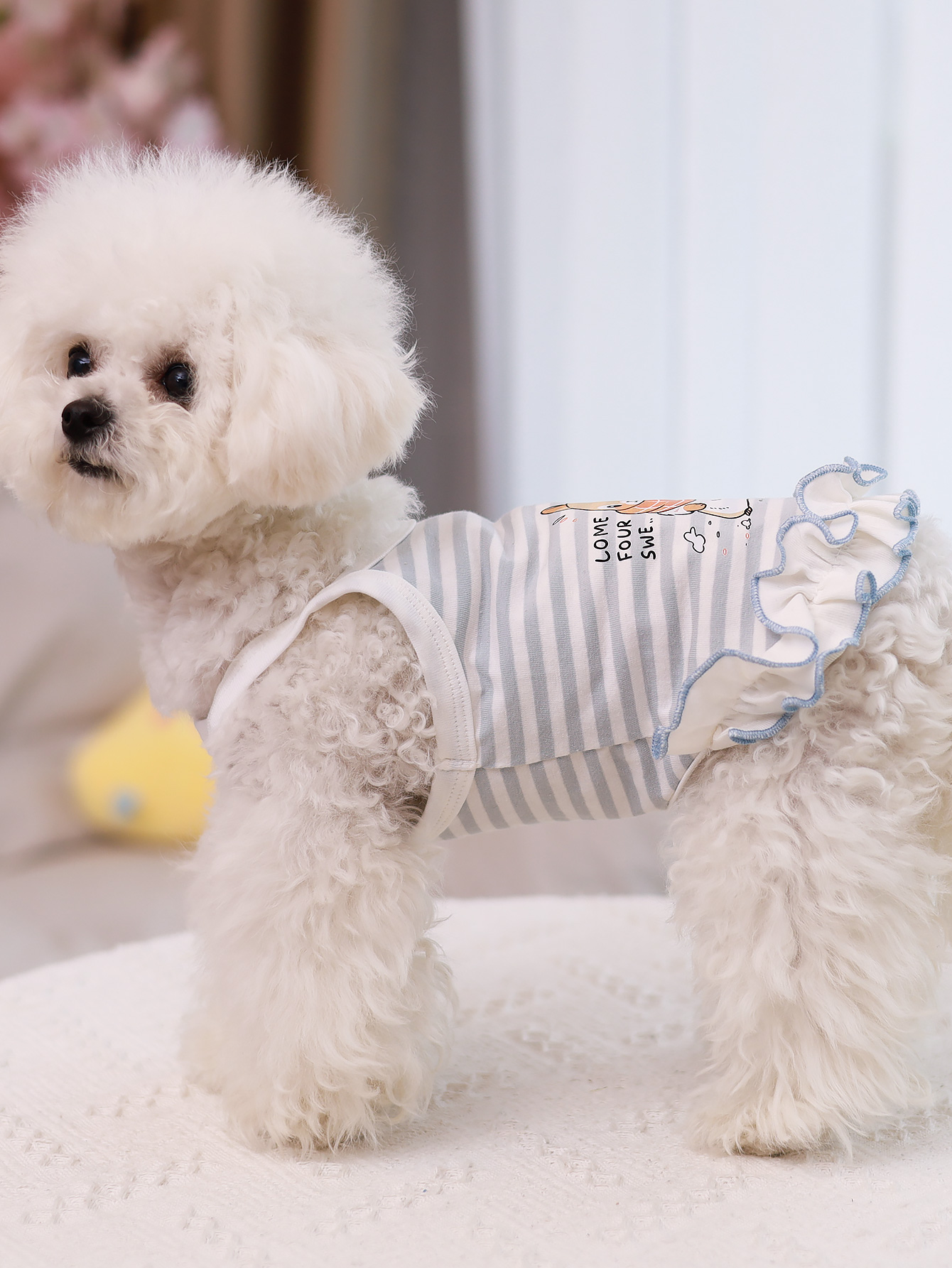 Köpek yeleği, yazlık nefes ala - Summer Clothing Material incelemesi ve fiyatı