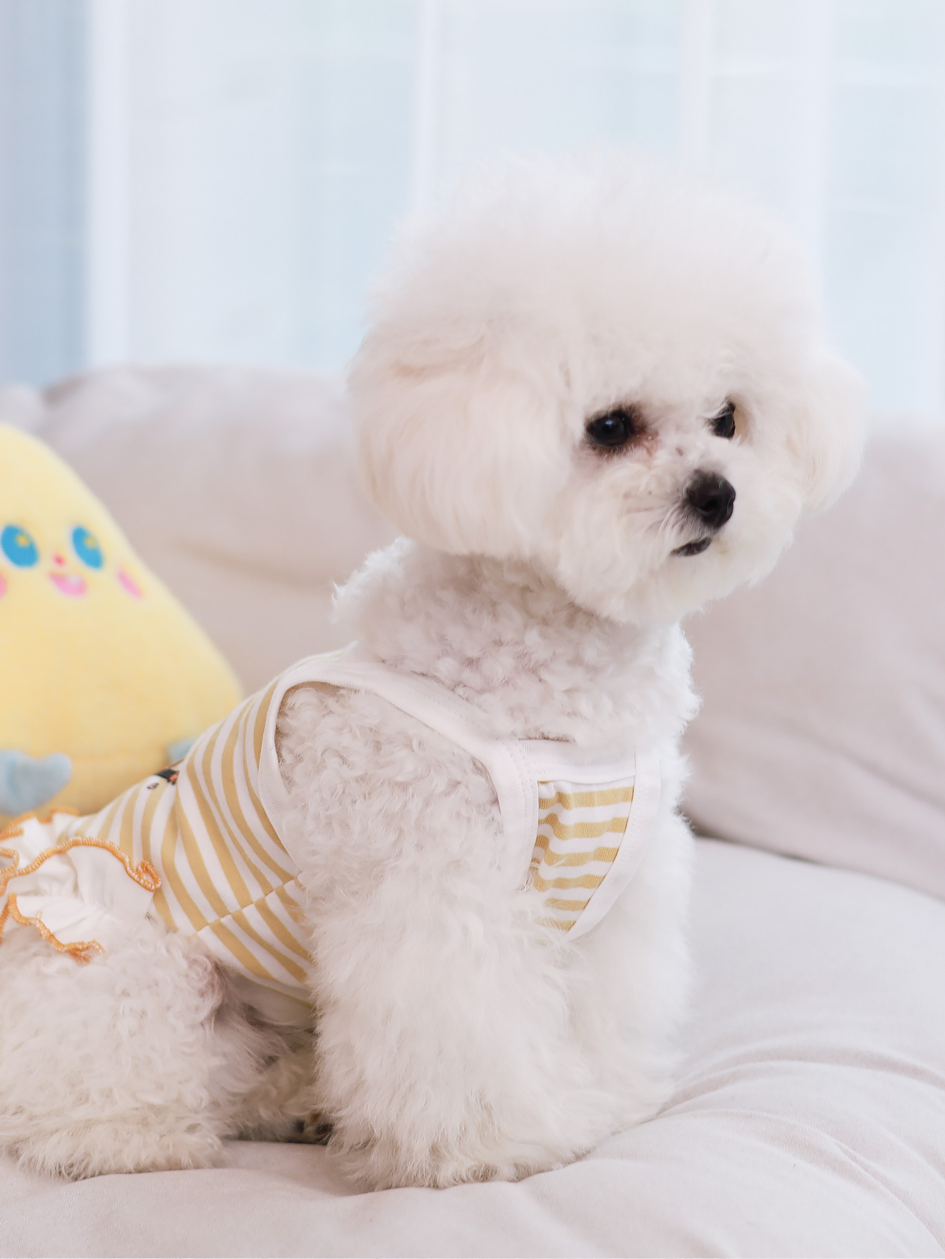 Köpek yeleği, yazlık nefes ala - Summer Clothing Material incelemesi ve fiyatı